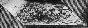 Obraz całej powierzchni Księżyca, widzianej przez sondę Łuna 19. Źródło: http://mentallandscape.com/C_CatalogMoon.htm