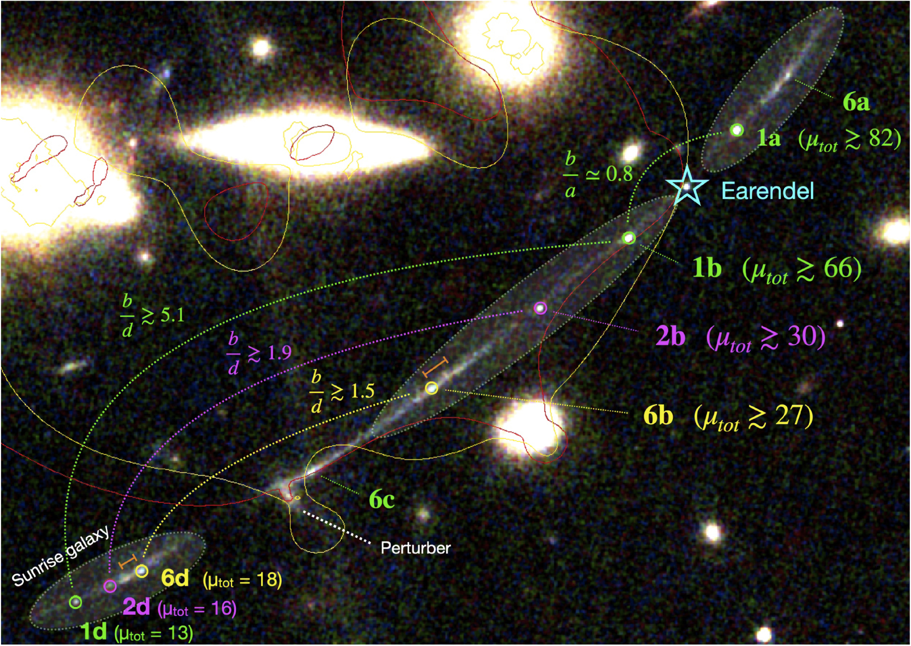 Na ilustracji: Zdjęcia soczewkowanej grawitacyjnie galaktyki Łuk Wschodzącego Słońca (ang. Sunrise Arc), które zostało wykonane przez Teleskop Webba z dwoma modelami soczewek grawitacyjnych reprezentowanych przez tzw. krzywe krytyczne – jeden oznaczony czerwoną linią (bardziej zwarty) oraz drugi z żółtą linią (najbardziej realistyczny z „zachowawczymi” wartościami wzmocnienia jasności „μtot”). Wielokrotne obrazy tych samych obiektów-gromad gwiazdowych są połączone kropkowanymi liniami o takich samych kolorach: 1a+1b+1d, 2b+2d. Tutaj b/d, b/a oznaczają stosunki jasności pomiędzy sąsiednimi, wielokrotnymi obrazami tego samego obiektu. Obiekt 6c astronomowie rozpoznali, jako obszar formowania się gwiazd masywnych, który znajduje się w pobliżu źródła soczewkowania grawitacyjnego „perturber” zakrzywiającego linie krytyczne i wzmacniający jasność tego fragmentu Łuku Wschodzącego Słońca. Pojaśnienia 6a, 6b, 6c i 6d są wielokrotnymi obrazami tego samego obiektu – obszaru gwiazdotwórczego. Astronomowie planują dalszą analizę tej struktury w oparciu o obserwacje spektroskopowe. Źródło (CC BY 4.0): Vanzella E. i  inni 2023 ApJ 945 53) 