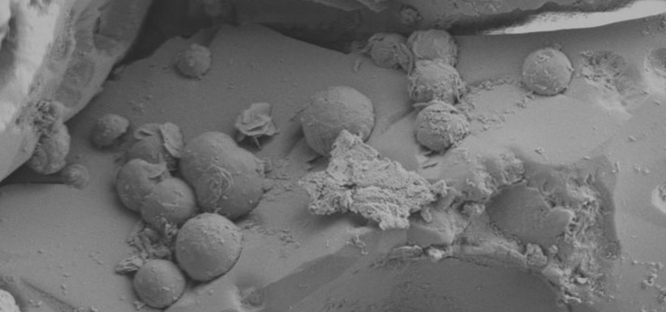 Zdjęcie z mikroskopu elektronowego pokazujące chondrule