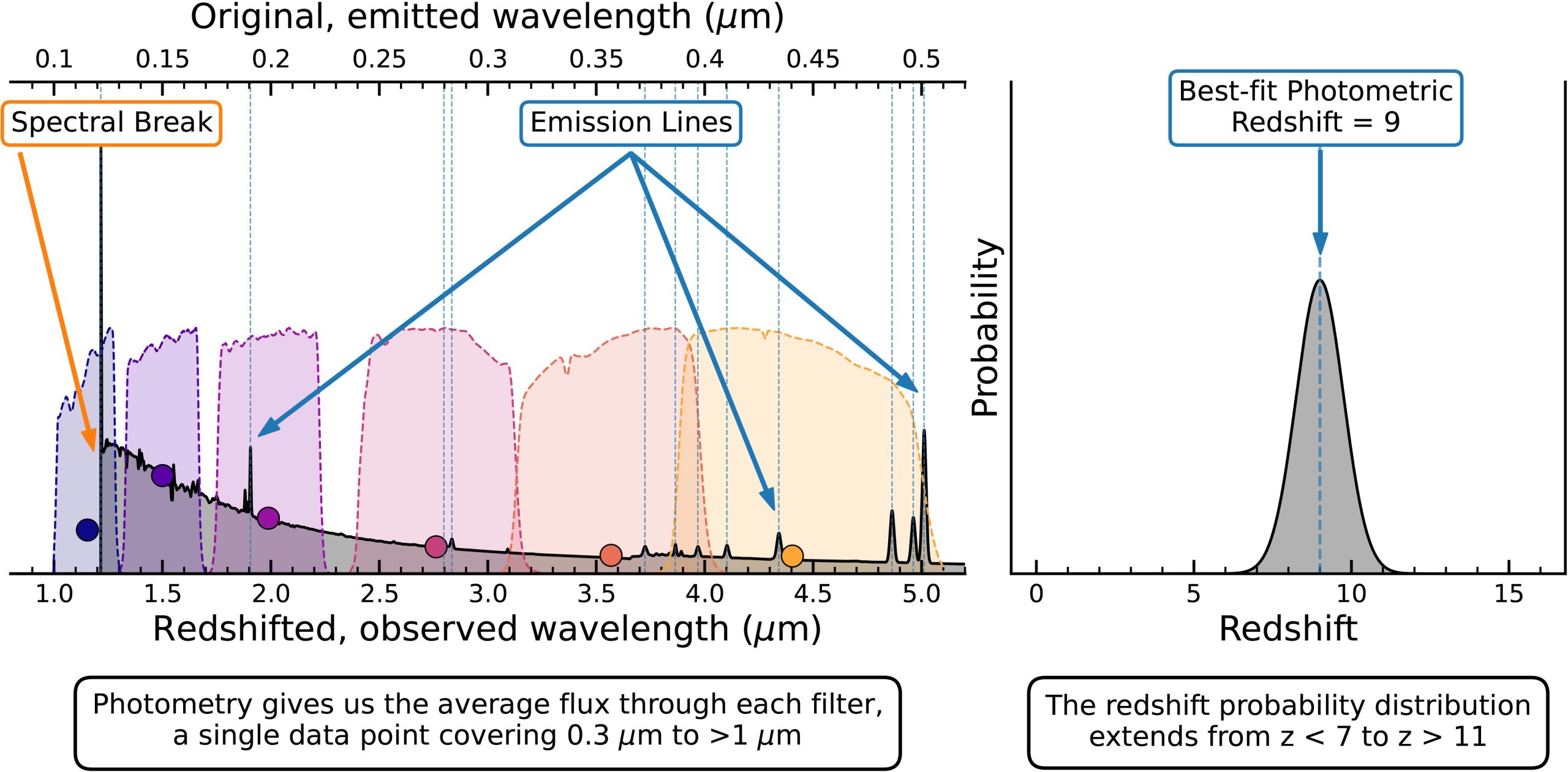 Na ilustracji (2): Pomiary fotometrycznego przesunięcia ku czerwieni (ang. photometric redshift) z wykorzystaniem zdjęć uzyskanych w sześciu filtrach fotometrycznych (po lewej). Szarym kolorem pokazano model widma galaktyki ze skokiem (ang. spectral break) i kilkoma liniami emisyjnymi. Długość fali λ, w której zostało wyemitowane światło pokazano na skali u góry, zaś λ zaobserwowane – na skali u dołu. W tym przykładzie światło jest przesunięte ku czerwieni (inaczej mówiąc – rozciągnięte) o czynnik 10. Krzywe transmisyjne filtrów kamery NIRCam i ich zakres spektralny pokazano jako zakreślone kolorowe obszary. Był mierzony średni strumień w każdym filtrze (kolorowe koła) i do tych 6 punktów dopasowywano różne modele galaktyk w pewnym zakresie przesunięć ku czerwieni, aby wyznaczyć prawdopodobieństwo, że dana galaktyka posiada każde przesunięcie ku czerwieni. Ta galaktyka ma najlepiej dopasowane dla fotometrycznego przesunięcia ku czerwieni z=9 (wtedy Wszechświat liczył około 550 milionów lat), ale rozkład prawdopodobieństwa (prawy panel) rozciąga się w zakresie z=7-11 (wtedy Wszechświat był w wieku odpowiednio 770 mln i 420 mln lat). Źródło: Micaela Bagley