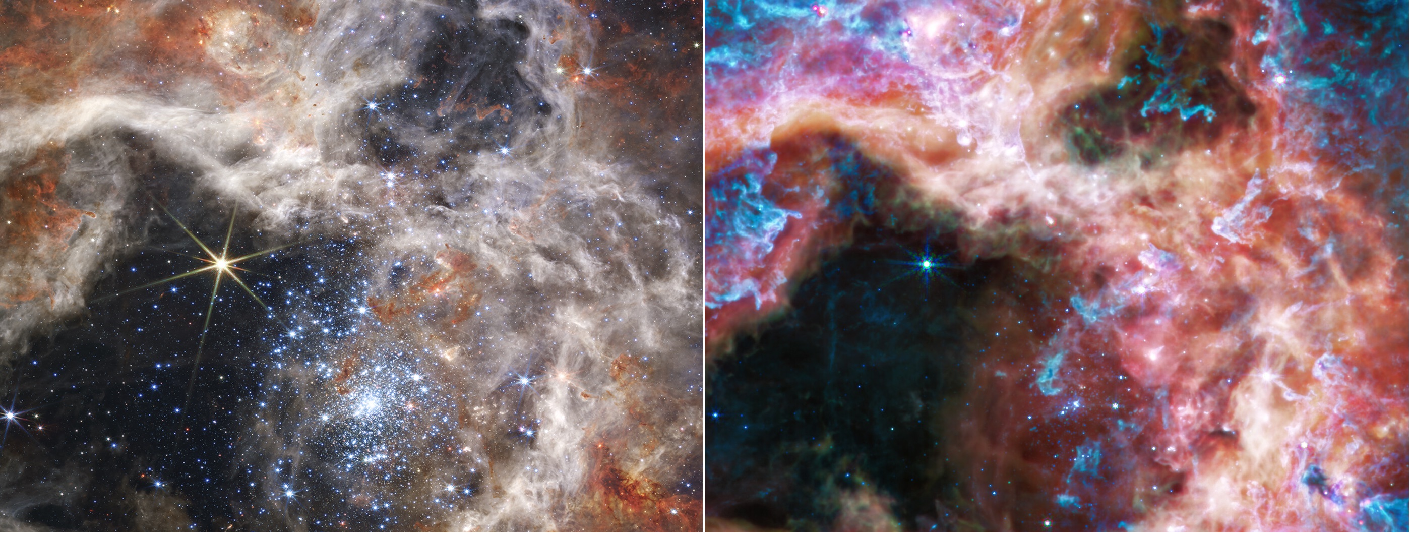 Obrazy fragmentu Mgławicy Tarantula obok siebie w bliskiej / średniej podczerwieni (odpowiednio po lewej/ po prawej) wykonane przez Kosmiczny Teleskop Jamesa Webba. Przekątna zdjęcia odpowiada na niebie 2,64’ (~130 l.św. z odległości 170 tysięcy l.św.). Na stronie internetowej ESA można interaktywnie oglądać oba zdjęcia, przesuwając suwak: bliska ↔ średnia podczerwień. Każdy fragment widma promieniowania elektromagnetycznego pokazuje i ukrywa inne cechy, co pozwala astronomom zrozumieć mechanizmy fizyczne odpowiadające za powstawanie gwiazd. Źródło: NASA, ESA, CSA, and STScI