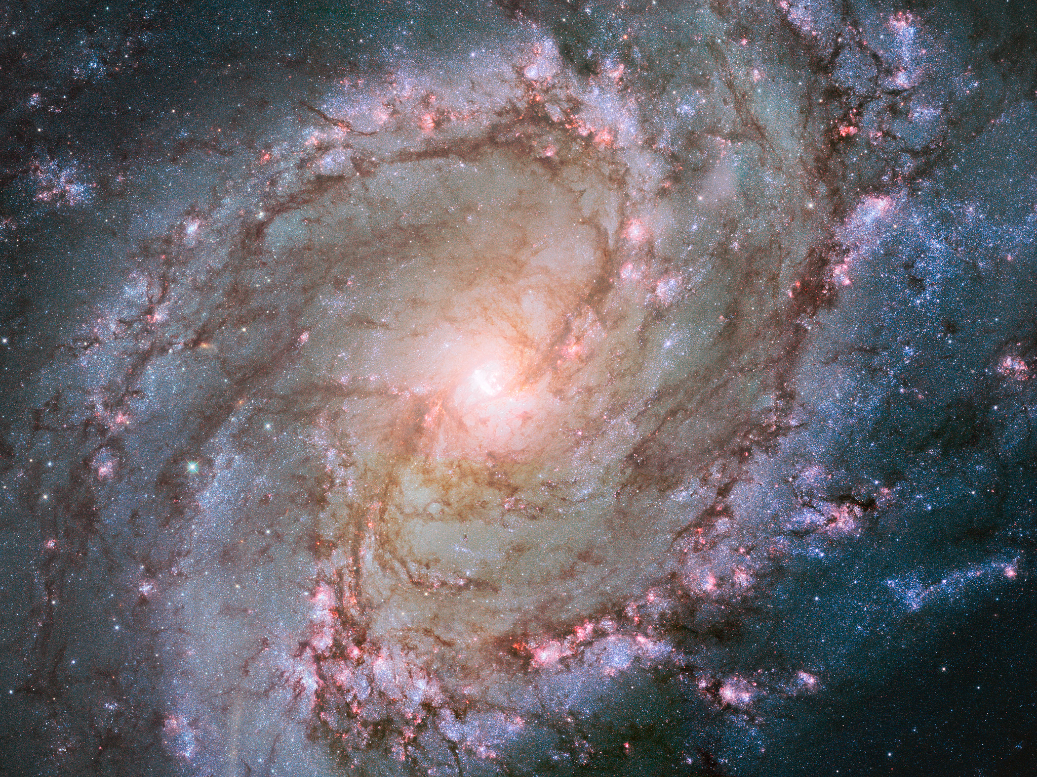 Na ilustracji: Zdjęcie z 2014 roku galaktyki z poprzeczką M83 (Galaktyka Południowy Wiatraczek) w zakresie optycznym (filtry w zakresie λ=0,336μm – 0,555μm) wykonane przez Teleskop Hubble’a. Źródło: NASA, ESA, and the Hubble Heritage Team (STScI/AURA) Acknowledgement: William Blair (Johns Hopkins University)