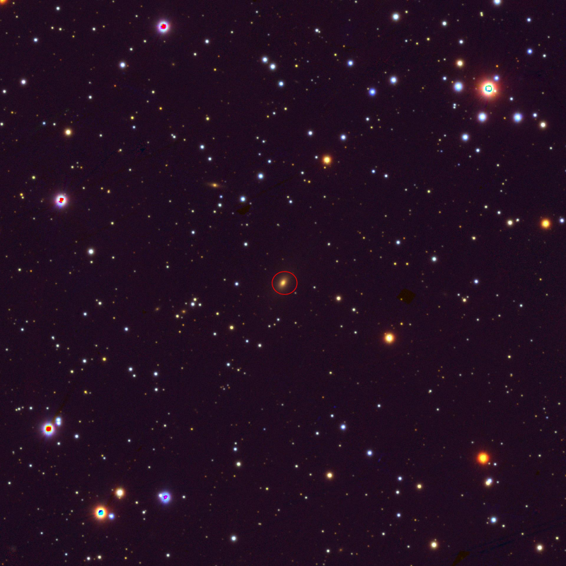 Obraz z przeglądu SDSS przedstawiający galaktykę TXS 0128+554.