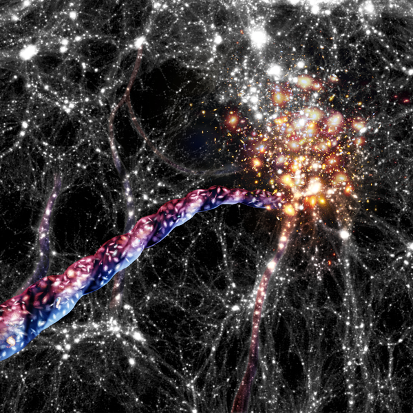 Artystyczna wizja odwzorowująca włókna kosmicznej sieci składające się z gazu, galaktyk i ciemnej materii. Stwierdzono, że galaktyki we włóknach wirują i płyną ruchem spiralnym w kierunku większych skupisk materiału zwanych węzłami. 