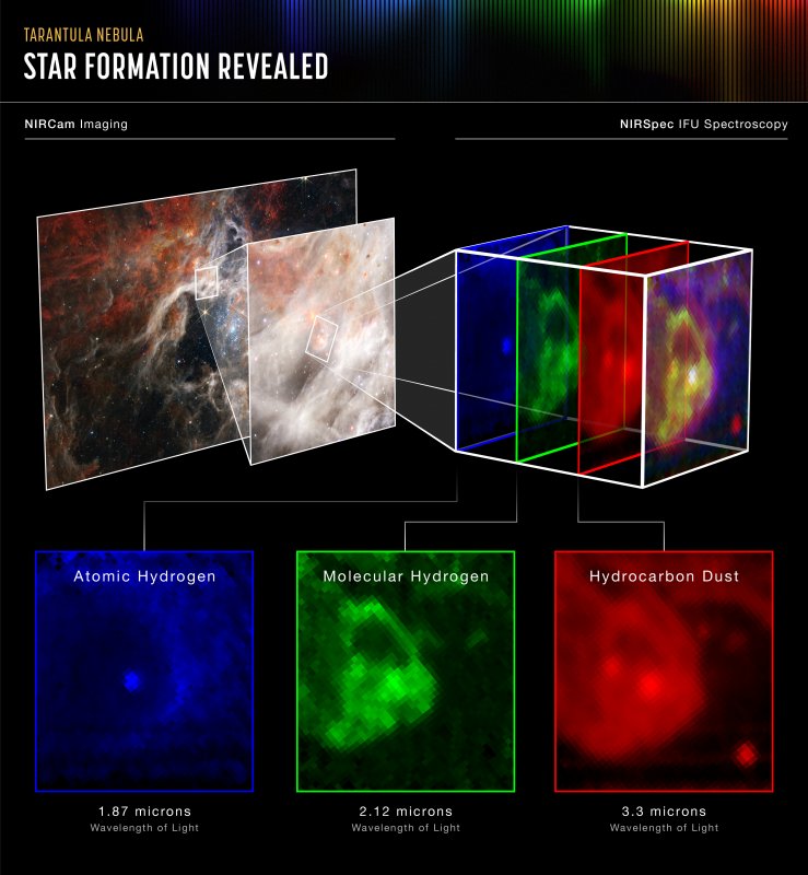 Na ilustracji pokazano fragment Mgławicy Tarantula z protogwiazdą w polu widzenia 3x3”, który zaobserwował w bliskiej podczerwieni spektrograf NIRSpec we współpracy z Kosmicznym Teleskopem Jamesa Webba. Zaprezentowano rozkład przestrzenny atomowego wodoru (kolor niebieski, λ=1,87μm), molekularnego wodoru (kolor zielony, λ=2,12μm) i pyłu węglowodorowego (kolor czerwony, λ=3,3μm). Widać, że protogwiazda właśnie jest na początku procesu wydostawania się ze swojego kokonu pyłowego. Źródło: NASA, ESA, CSA, STScI