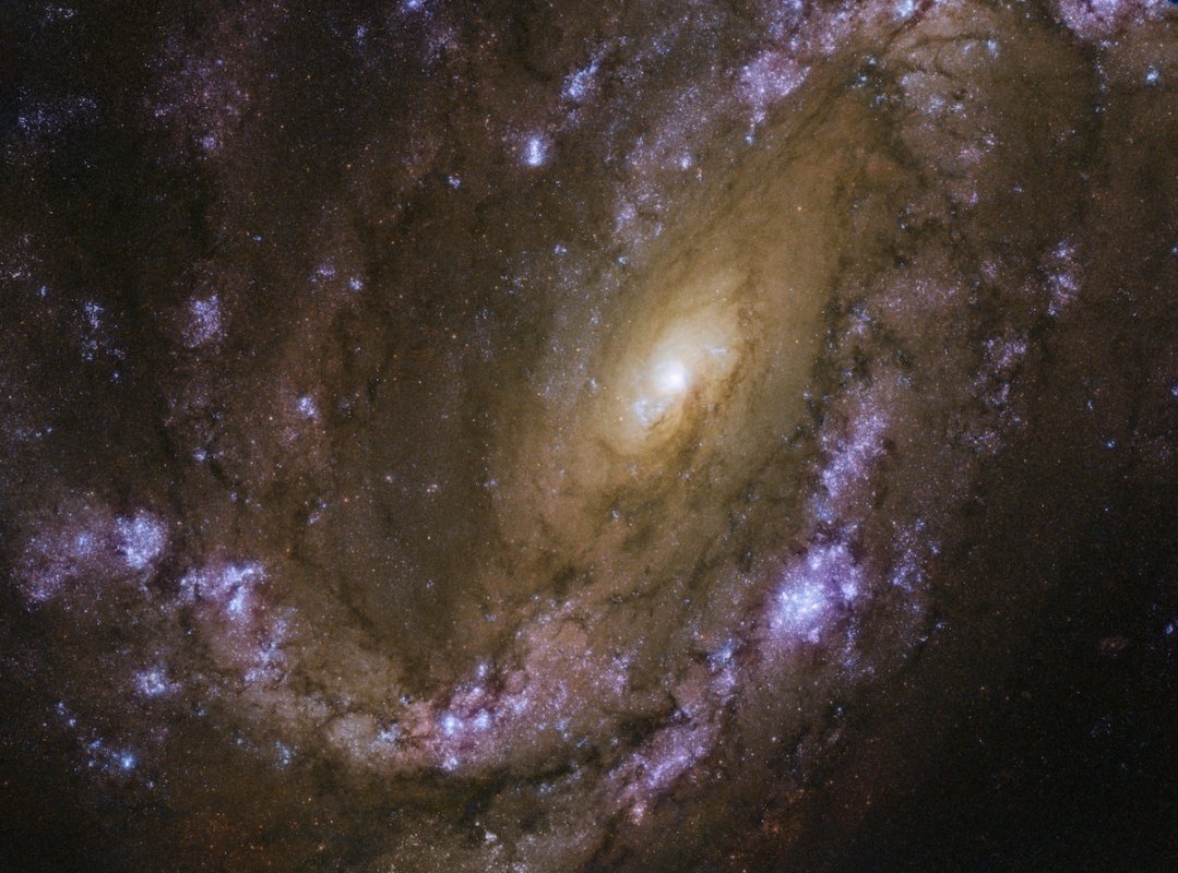 Galaktyka spiralna NGC 4051, sklasyfikowana jako galaktyka aktywna.