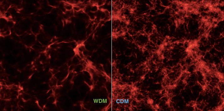Rozkład materii pierwotnej w modelach kosmologicznych z ciepłą ciemną materią (WDM, po lewej) i zimną ciemną materią (CDM, po prawej).