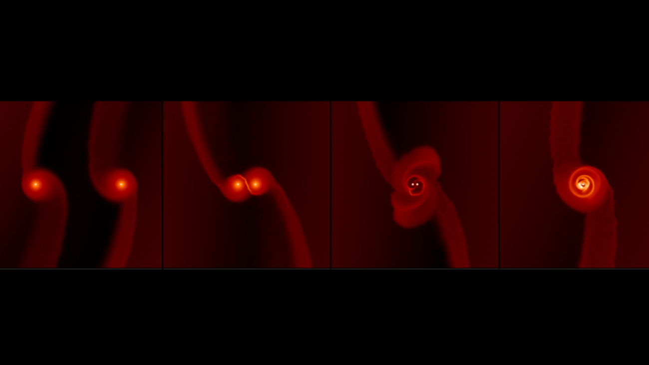 Symulacja łączących się czarnych dziur oraz mini dysków wokół każdej z czarnych dziur.