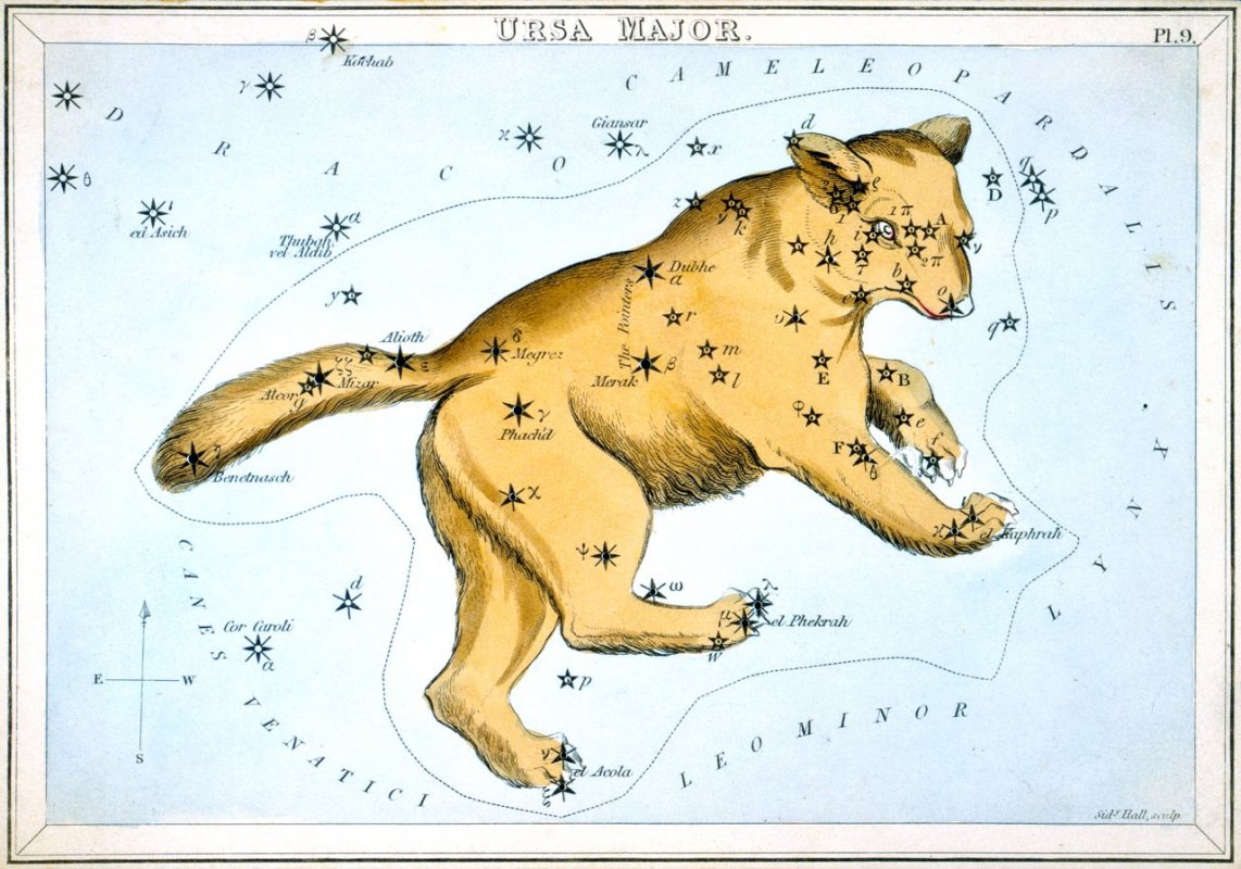 Wielka Niedźwiedzica - z zestawu kart gwiazdozbiorów Samuela Leigha