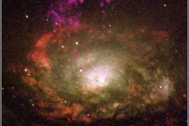 Wiele masywnych, czarnych dziur ukrywa się nawet w pobliskich galaktykach, takich jak ukazana na zdjęciu z HST Galaktyka Cyrkiel. W zakresach optycznym i ultrafioletowym głównymi widocznymi cechami są intensywna formacja gwiazd oraz występowanie obłoków pyłowych. Jednak w jądrze ukrywa się źródło bardzo energetycznego promieniowania rentgenowskiego, które sygnalizuje obecność czarnej dziury. Na zdjęciu nie widać w tym miejscu żadnego zwartego źródła. Źródło: NASA, Andrew S. Wilson (University of Maryland); 