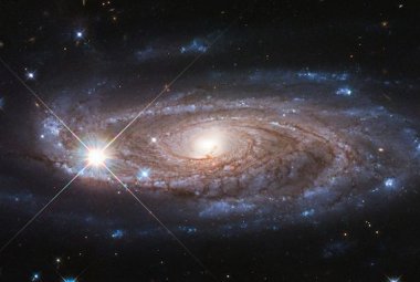 Najjaśniejsza galaktyka w centrum gromady galaktyk jest prawie zawsze galaktyką eliptyczną.