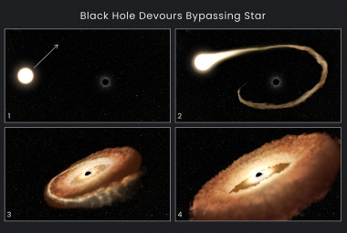 Wizja artystyczna pokazuje, jak czarna dziura może pochłaniać mijającą ją gwiazdę.