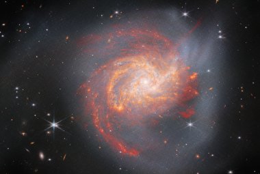 Na ilustracji: Wielka, spiralna galaktyka NGC 3256 widziana z boku w ujęciu Teleskopu Webba - bliska i średnia podczerwień (użyte instrumenty: kamera NIRCam i instrument MIRI). Bardzo jasne jest jej jądro. Pasma pyłu intensywnie świecą w czerwieni od centrum przez większy obszar NGC 3256. Ta materia jest otoczona przez ciemno-szare halo, które składa się z gwiazd. Halo przechodzi w ogon pływowy w górnej-lewej części zdjęcia oraz inny – na dole. Źródło: ESA/Webb, NASA & CSA, L. Armus, A. Evans