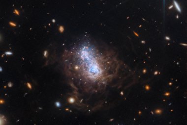 W polu widzenia widać wiele małych galaktyk. Najczęściej są to owalne galaktyki spiralne w kolorze białym i czerwonym. Centrum zdjęcia wypełnia nieregularna galaktyka karłowata I Zwicky 18 (I Zw 18) z jasnym obszarem wypełnionym gwiazdami w kolorze białym i niebieskim. Jądro galaktyki rozdziela się na dwa płaty. Obszar centralny I Zw 18 jest otoczony przez włókna pyłowe w kolorze brązowym. ESA/Webb, NASA, CSA, A. Hirschauer, M. Meixner et al