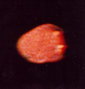 Zdjęcie Amaltei wykonane przez sondę Voyager1