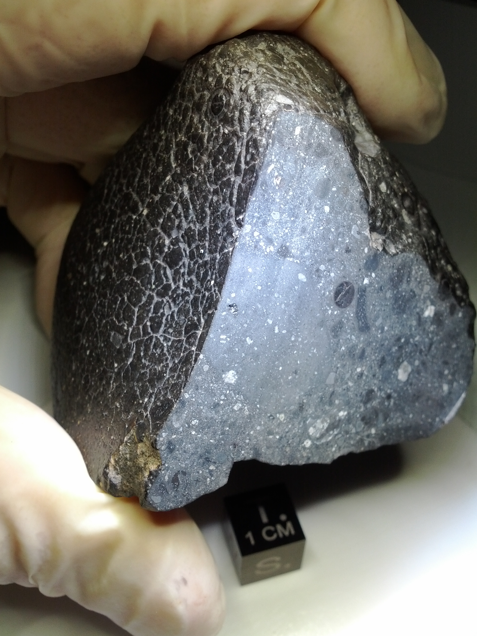 Meteoryt NWA 7034 (Czarna Piękność)