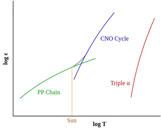 Graficzne przedstawienie cykli proton-proton (PP), CNO i 3 ALFA (triple α) produkcji energii w jądrach gwiazd. Cykle PP i CNO dotyczą spalania wodoru, a 3 alfa - helu. Cykl CNO włącza się przy wyższych temperaturach niż PP. Wykres przedstawia logarytmiczną zależność względnej produkcji energii (ε) od temperatury (T) dla reakcji syntezy jądrowej (cykli) PP, CNO i 3 ALFA. Przerywana linia reprezentuje sumę energii produkowaną w cyklu PP i CNO. Przy temperaturach panujących we wnętrzu Słońca (ang. „Sun”) najwydajniejszym źródłem energii jest cykl PP (cykl CNO produkuje tylko ~1% energii słonecznej). Źródło: Wikipedia - R.J.Hall