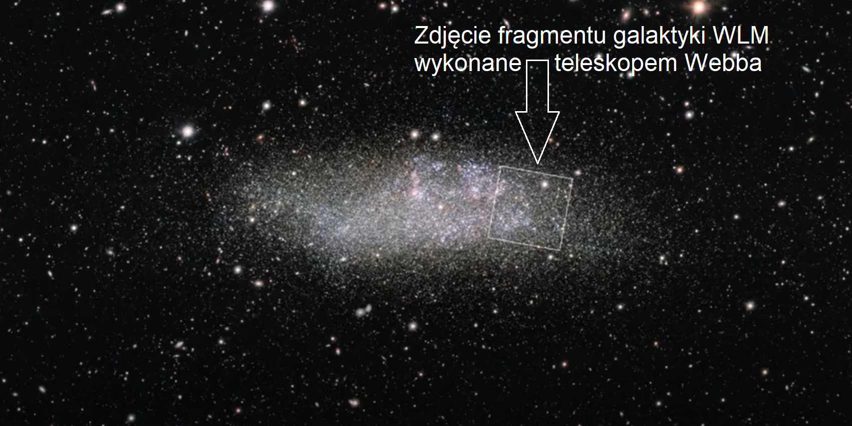 Zrzut ekranowy z animacja NASA prezentującej zbliżenie na galaktykę karłowatą Wolf-Lundmark-Melotte (WLM) - od zdjęcia z teleskopu VLT do zdjęcia wykonanego przez Kosmiczny Teleskop Jamesa Webba (kierunki na niebie: północ-po lewej, wschód-na dole). Widać tutaj zdjęcie z teleskopu VLT z zaznaczonych kwadratem o boku około 2’ (~1700 l.św. przy odległości do galaktyki WLM), który wskazuje na położenie kadru dla kamery NIRCam w teleskopie Webba. Źródło: NASA, ESA, CSA, ESO, Alyssa Pagan (STScI)