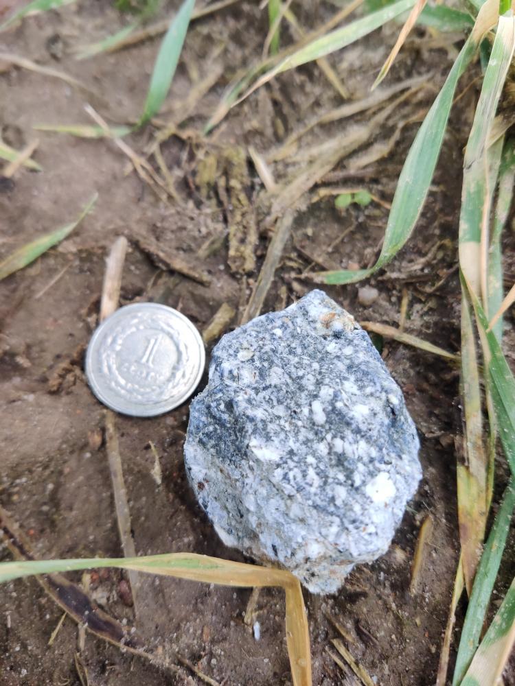 Zdjęcie meteorytu znalezionego przez polską ekipę, fot. Filip Nikodem