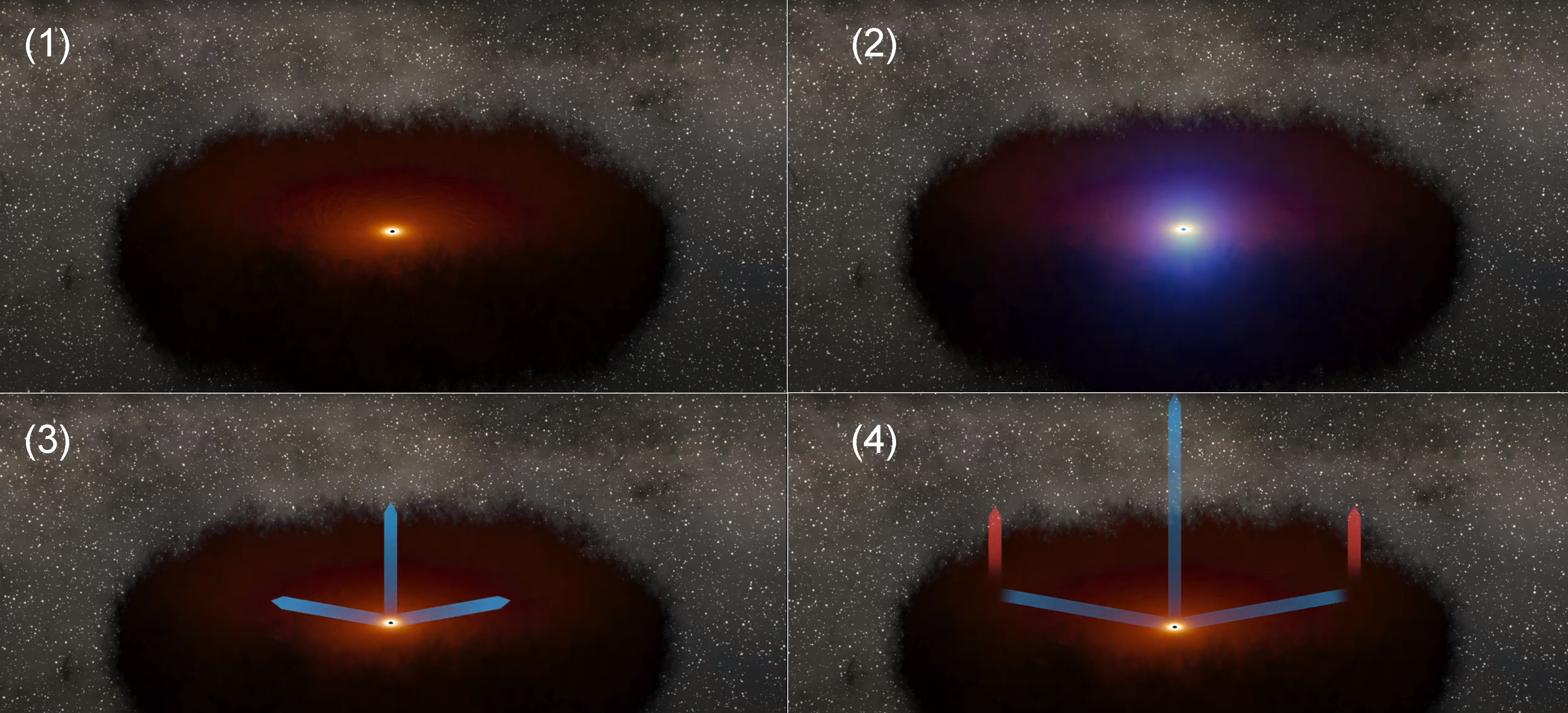 Supermasywna czarna dziura otoczona przez dysk akrecyjny i torus pyłowy - mechanizm powstawania echa w podczerwieni na brzegu dysku pyłowego po wcześniejszym rozbłysku w zakresie optycznym w dysku akrecyjnym. Źródło: NASA/JPL-Caltech.