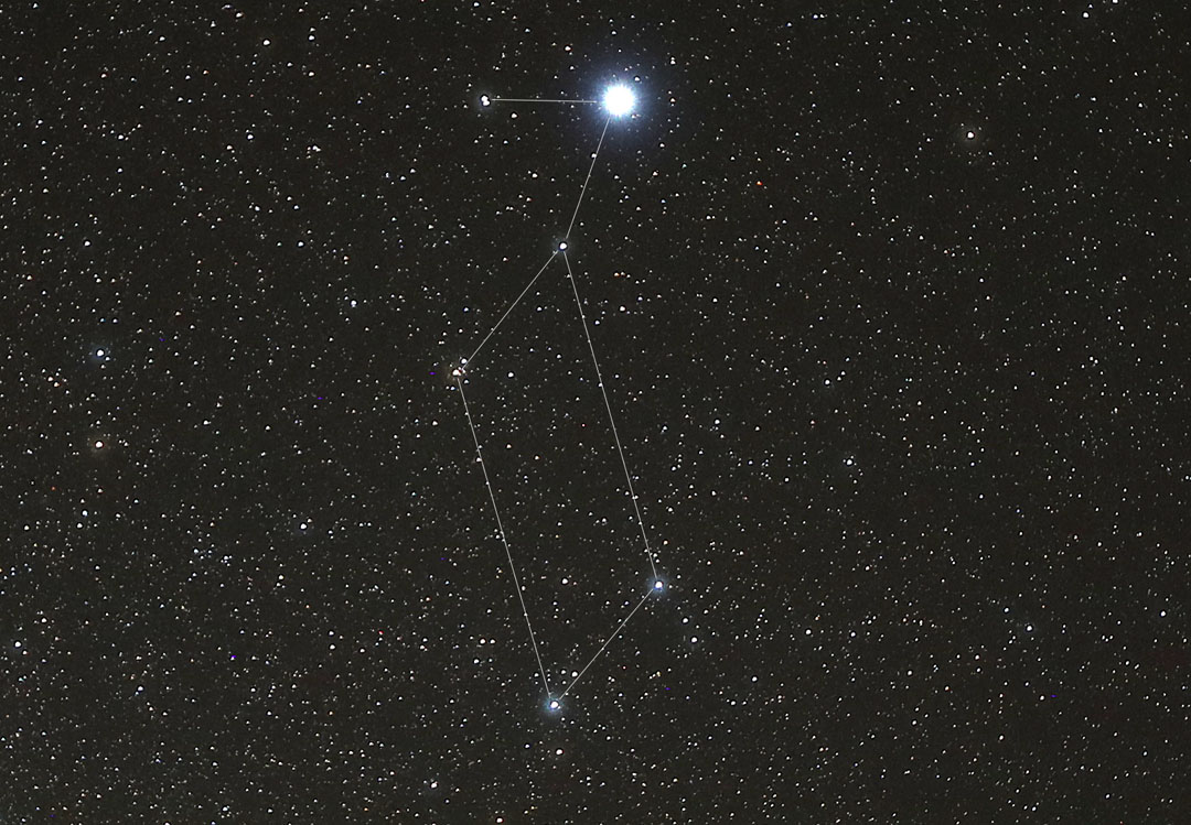 Wega jest najjaśniejszą gwiazdą w asteryzmie Trójkąta Letniego, sygnalizuje powrót na niebo letniej Drogi Mlecznej. Źródło: Bob Kin