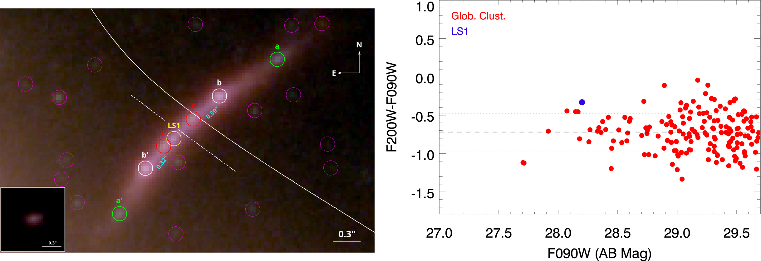 Na ilustracji: Po lewej - widać powiększony fragment kolorowego zdjęcia otoczenia obiektu Mothra (tutaj oznaczonego jako LS1). Jest to połączenie zdjęć z teleskopów Hubble’a i Webba w 11 barwach w zakresie λ=0,435μm – 4,44μm. Liczne słabe obiekty zakreślone w purpurowych okręgach to są najprawdopodobniej gromady kuliste lub zwarte pozostałości galaktyczne w MACS0416. LS1, czyli Mothra znajduje się zaledwie w odległości parseka od kaustyki (przerywana, biała linia). Po prawej – wykres jasność vs wskaźnik barwy (jasność ciała niebieskiego w barwie λ~0,9μm vs różnica jasności pomiędzy barwami λ~2,0μm i λ~0,9μm). Czerwone kropki dotyczą gromad kulistych lub zwartych pozostałości galaktycznych na zdjęciu po lewej i na tle MACS0416, a niebieska kropka odpowiada obiektowi LS1, czyli Mothra. LS1 jest jaśniejsza od prawie wszystkich gromad kulistych na wykresie i jest bardziej niebieska niż pobliskie gromady kuliste w polu widzenia. Źródło (CC BY 4.0): A&A 679, A31 (2023)