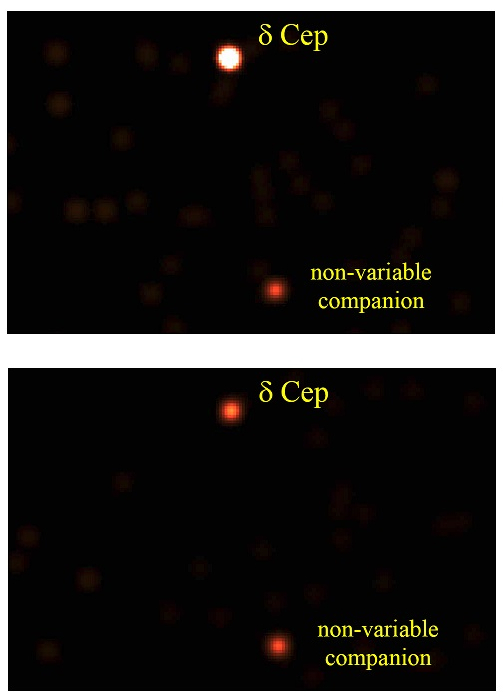 Zdjęcia w promieniach rentgenowskich cefeidy δ Cephei i pobliskiej gwiazdy nie wykazującej zmienności. Ewidentnie widać zmienność δ Cephei po porównaniu obu zdjęć. Źródło: NASA