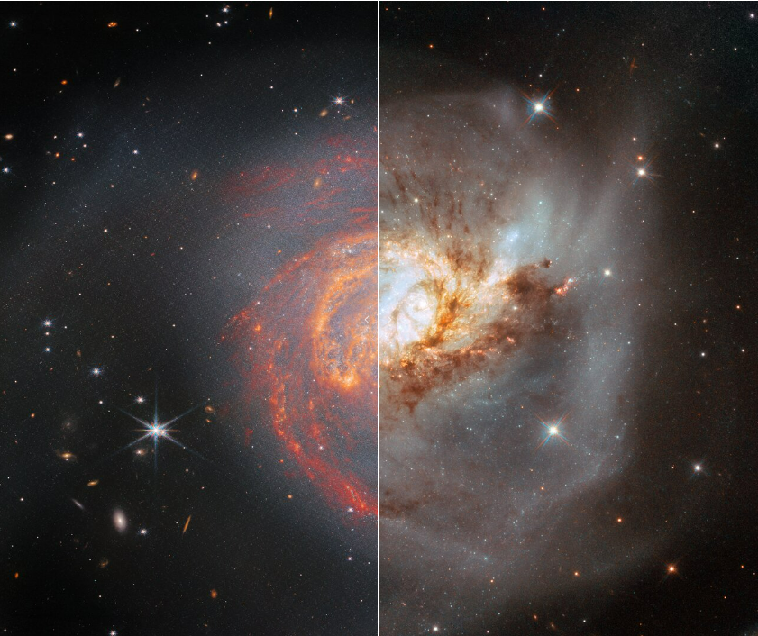 Na ilustracji: Połączone obrazy galaktyki NGC 3256 wykonane przez Teleskop Webba w podczerwieni i Teleskop Hubble’a w zakresie optycznym (po lewej/prawej). Na stronie internetowej ESA można interaktywnie oglądać te obrazy w obu zakresach, przesuwając suwak: zdjęcie z Teleskopu Webba ↔ zdjęcie z teleskopu Hubble’a. Zdjęcie z Teleskopu Webba (po lewej) obejmuje bliską i średnią podczerwień (użyte instrumenty: kamera NIRCam i instrument MIRI). Zderzenie galaktyk w NGC 3256 spowodowało gwałtowne przyspieszenie w powstawaniu gwiazd i te młode gwiazdy widać teraz, jak wiele energii wypromieniowują w podczerwieni. Zdjęcie z Teleskopu Hubble’a (po prawej) dotyczy zakresu optycznego z widocznymi szczegółowo ciemnymi włóknami składającymi się z pyłu i gazu molekularnego, które wirują wokół centrów obu połączonych galaktyk. Wiele młodych, świecących w podczerwieni gwiazd, które powstały w wyniku tego zderzenia galaktyk, jest przesłonięta w zakresie optycznym przez ciemne obłoki pyłu. Źródło: ESA/Webb, NASA & CSA, L. Armus, A. Evans, ESA/Hubble