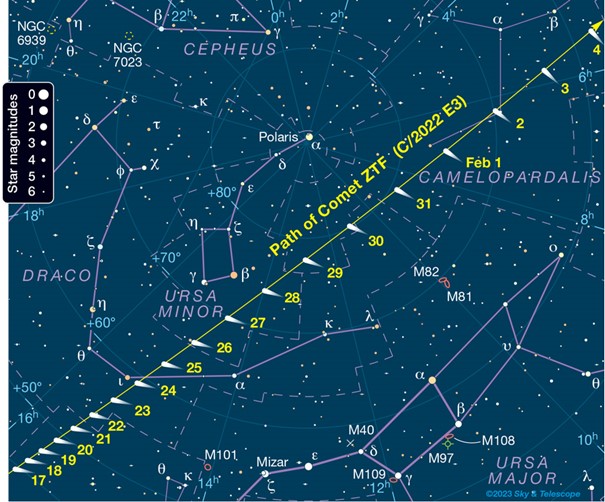 Trajektoria komety ZTF wśród gwiazdozbiorów nieba północnego. Źródło: Sky and Telescope.