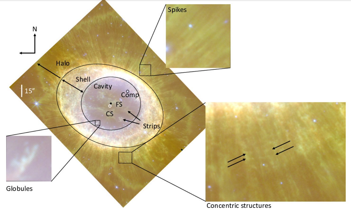 Na ilustracji: Nazwy struktur w Mgławicy Pierścień (M57) nałożone na trójkolorowe zdjęcie uzyskane przez Teleskop Webba w barwach o średnich długościach fali λλ~3,0μm+5,6μm+7,7μm (2 zdjęcia NIRCam+1 MIRI). Na zdjęciu „CS” oznacza gwiazdę centralną, która wyrzuciła otoczkę zwaną Mgławicą Pierścień, natomiast „Comp” – prawdopodobnego gwiezdnego towarzysza gwiazdy centralnej „CS”. Zaznaczono również wyraźne wewnętrzne i zewnętrzne granice otoczki (ang. shell); centralną, bardzo gorącą pustkę (ang. cavity) i „paski” materii oraz globule (=zagęszczenia molekularnego wodoru) w niej zawarte (ang. strips / globules). Poza otoczką w obrębie halo zaznaczono przykłady „kolców” (ang. spikes) oraz struktury koncentryczne (ang. concentric structures) zwane również łukami (ang. arcs). Źródło (CC BY 4.0): arXiv:2308.09027 [astro-ph.SR]