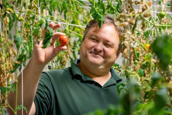 Na zdjęciu: Andrew Palmer trzyma pomidora uprawianego w pseudomarsjańskich warunkach w szklarni Red House. Źródło: Florida Tech.