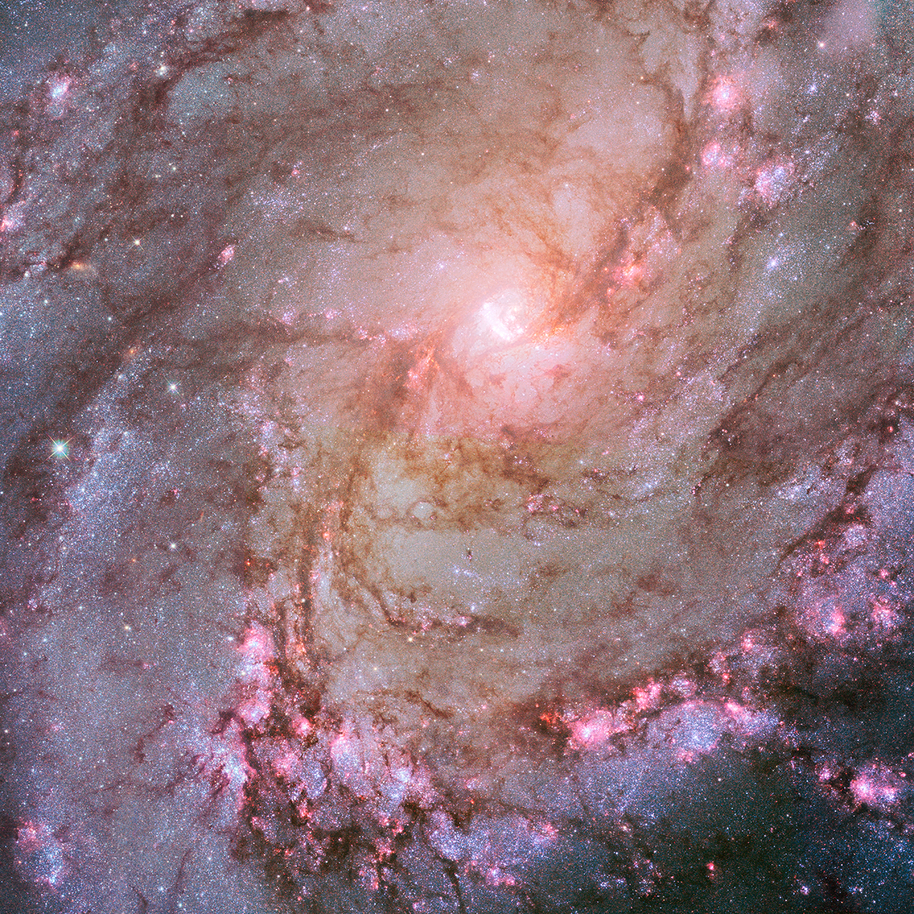 Zdjęcie niedalekiej galaktyki Messier 83 (M83) wykonane Komicznym Teleskopem Hubble’a. Źródło: NASA, ESA, and Z. Levay (STScI/AURA) Acknowledgment: NASA, ESA, and R. Khan (GSFC and ORAU)