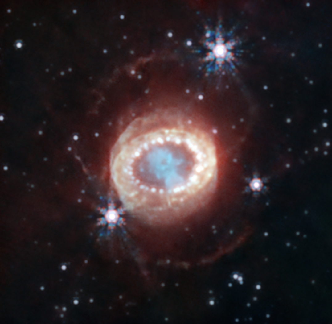 Na ilustracji: Zdjęcie supernowej SN 1987A sfotografowane za pomocą Teleskopu Webba i kamery NIRCam w bliskiej podczerwieni (długości fali: 1,5 – 4,44 μm). Źródło: NASA, ESA, CSA, Mikako Matsuura (Cardiff University), Richard Arendt (NASA-GSFC, UMBC), Claes Fransson (Stockholm University), Josefin Larsson (KTH), Alyssa Pagan (STScI)