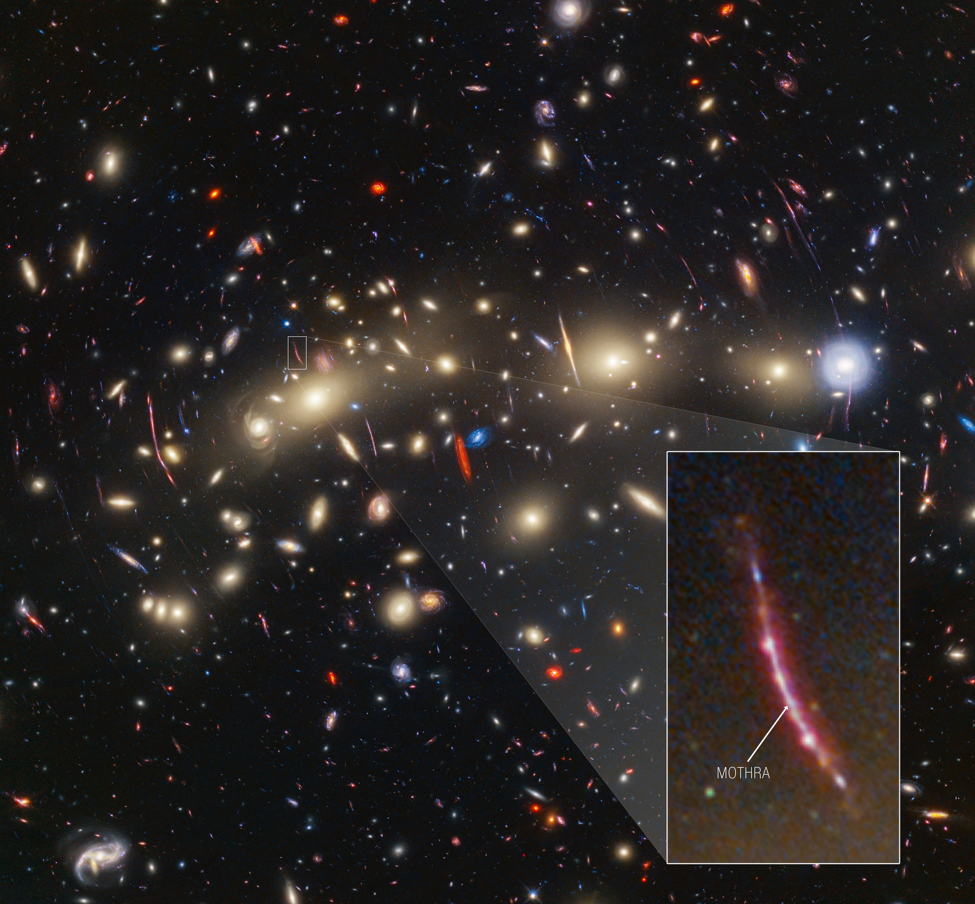 Na ilustracji: Obraz gromady galaktyk MACS0416 (z=0,396) z powiększonym fragmentem galaktyki tła, która istniała około 3 miliardy lat po Wielkim Wybuchu (z=2,091). W tej galaktyce tła astronomowie zaobserwowali zjawisko przejściowe lub obiekt, któremu nadali pseudonim „Mothra”. Mothra jest gwiazdą zmieniającą obserwowaną jasność w czasie. Dodatkowo jej jasność została wzmocniona przynajmniej 4000 razy przez soczewkowanie grawitacyjne. Astronomowie uważają, że jasność Mothra jest wzmocniona nie tylko przez soczewkowanie grawitacyjne pochodzące od gromady galaktyk MACS0416, ale również przez milisoczewkowanie grawitacyjne przez obiekt o masie mniej więcej gromady kulistej. Źródło: NASA, ESA, CSA, STScI, J. Diego (Instituto de Física de Cantabria, Spain), J. D’Silva (U. Western Australia), A. Koekemoer (STScI), J. Summers & R. Windhorst (ASU), and H. Yan (U. Missouri)