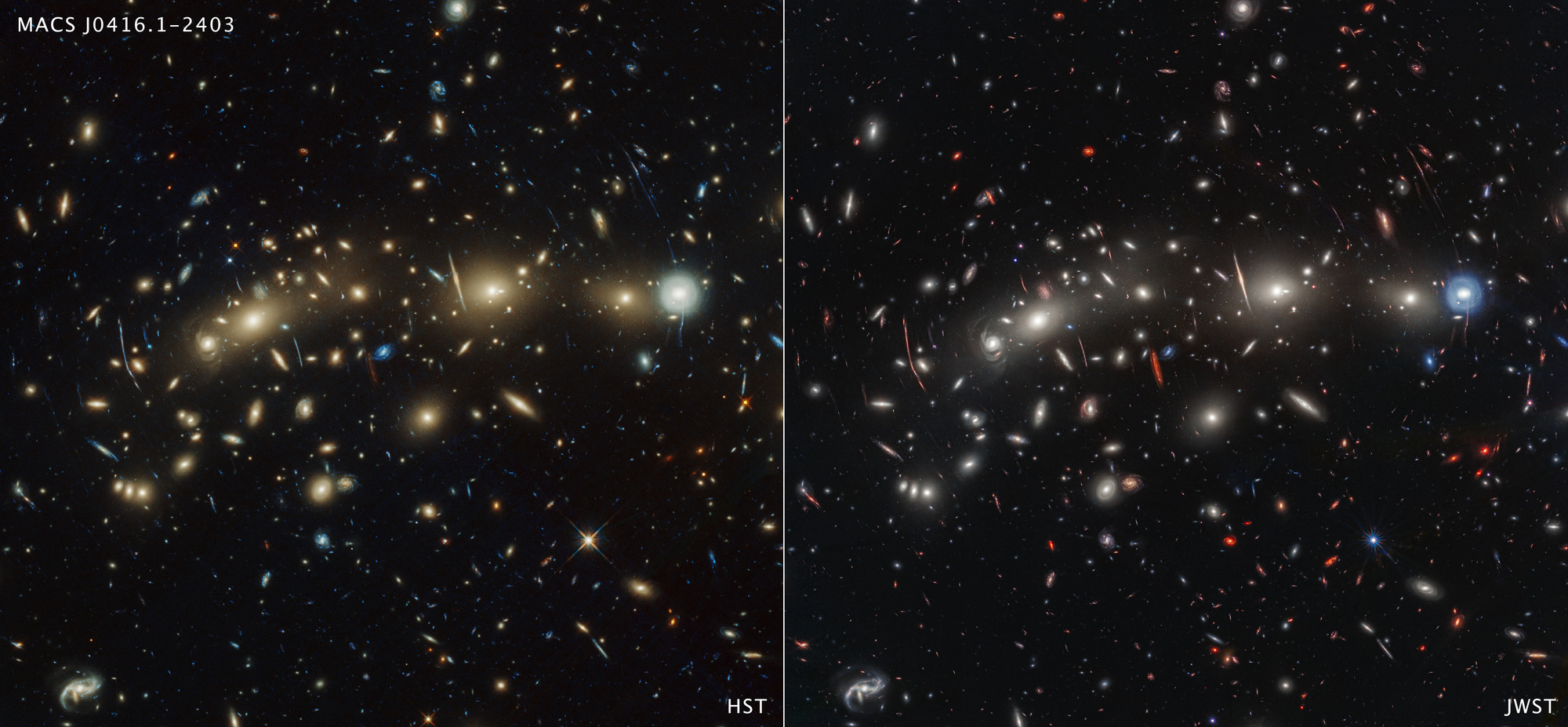 Na ilustracji: Obrazy gromady galaktyk MACS0416 zrobione przez Teleskop Hubble’a w zakresie widzialnym (po lewej) i Teleskop Webba w bliskiej podczerwieni (po prawej) ujawniają inne szczegóły. Na obu zdjęciach widać setki galaktyk. Jednak na zdjęciu z Teleskopu Webba widać galaktyki, które są niewidoczne lub ledwo widoczne na zdjęciu w Hubble’a. Tak jest, ponieważ czułe na podczerwień kamery Teleskopu Webba potrafią zarejestrować światło odległych lub galaktyk z dużą zawartością pyłu, których nie widzi Teleskop Hubble’a. Światło odległych galaktyk jest przesunięte ku czerwieni z powodu rozszerzania się Wszechświat. Teleskop Webba naświetlał zdjęcie przez 22 godziny, natomiast Hubble przez 122 godziny. Źródło: NASA, ESA, CSA, STScI