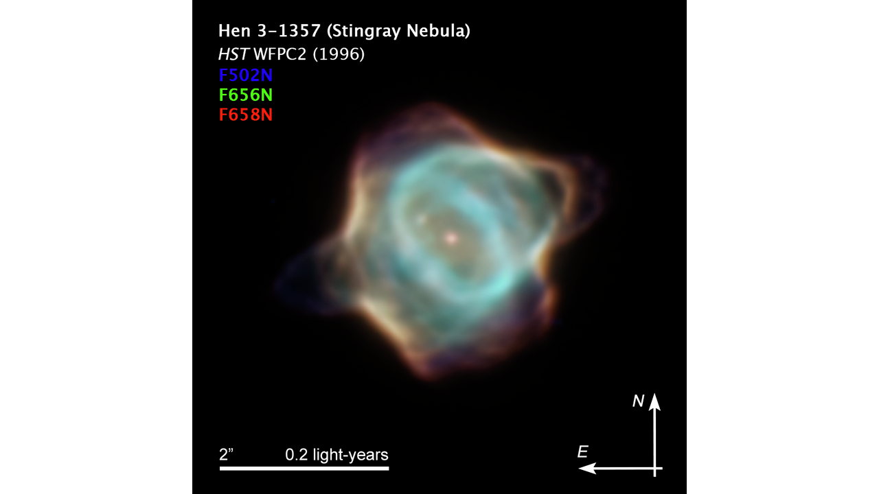 Zdjęcie z marca 1996 roku mgławicy planetarnej Hen 3-1357, zwanej popularnie Mgławicą Płaszczki uzyskane za pomocą Kosmicznego Teleskopu Hubble'a. Na zdjęciu widać końcowy etap życia gwiazdy znajdującej się w centrum mgławicy. Napęczniała chmura gazowa jest wyrzucana przez umierającą gwiazdę. Jest to bardzo wczesny etap odrzucania otoczki z gwiazdy. Zdaniem astronomów jest to najmłodsza znana mgławica planetarna. Podobne zjawisko czeka nasze Słońce za kilka miliardów lat. Na zdjęciu światło emitowane przez wzbudzone atomy azotu reprezenrtuje kolor czerwony, tlenu - zielony i wodoru - niebieski. Źródło: NASA, ESA, B. Balick (University of Washington), M. Guerrero (Instituto de Astrofísica de Andalucía), and G. Ramos-Larios (Universidad de Guadalajara)