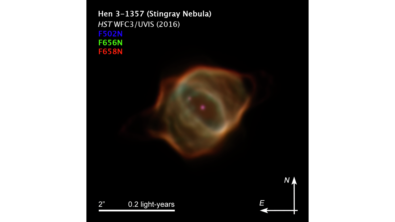 Zdjęcie ze stycznia 2016 roku planetarnej mgławicy Hen 3-1357, zwanej popularnie Mgławicą Płaszczki, które zostało uzyskane za pomocą Kosmicznego Teleskopu Hubble'a. Na zdjęciu Mgławicy Płaszczka widać drastyczny zmianę jasności i kształtu - gdy porównuje się z pierwszym zdjęciem z 1996 roku. Astronomowie odkryli niespotykane zmiany w promieniowaniu emitowanym przez wzbudzone atomy azotu (kolor czerwony), tlenu (kolor zielony) i wodoru (kolor niebieski) w mgławicy, która została wyrzucona z umierającej gwiazdy znajdującej się w jej centrum. Źródło: NASA, ESA, B. Balick (University of Washington), M. Guerrero (Instituto de Astrofísica de Andalucía), and G. Ramos-Larios (Universidad de Guadalajara)