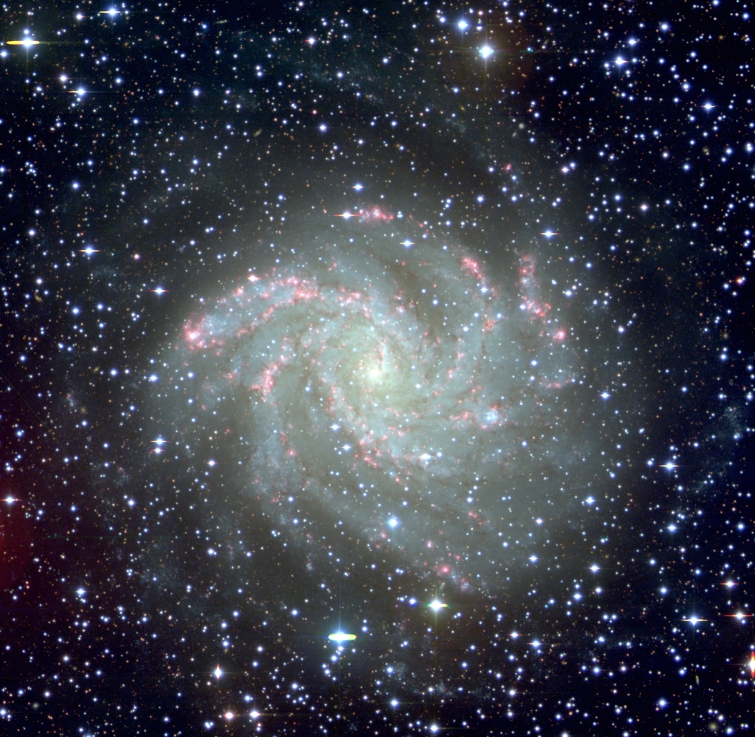 NGC 6946 (Isaac Newton Telescope). Źródło: Renseb