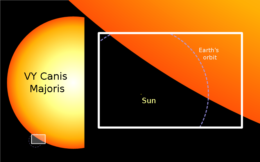 Wielkość hiperolbrzyma VY Canis Majoris jest imponująca: około 1420 razy większa od Słońca. Źródło: Oona Räisänen/Wikipedia
