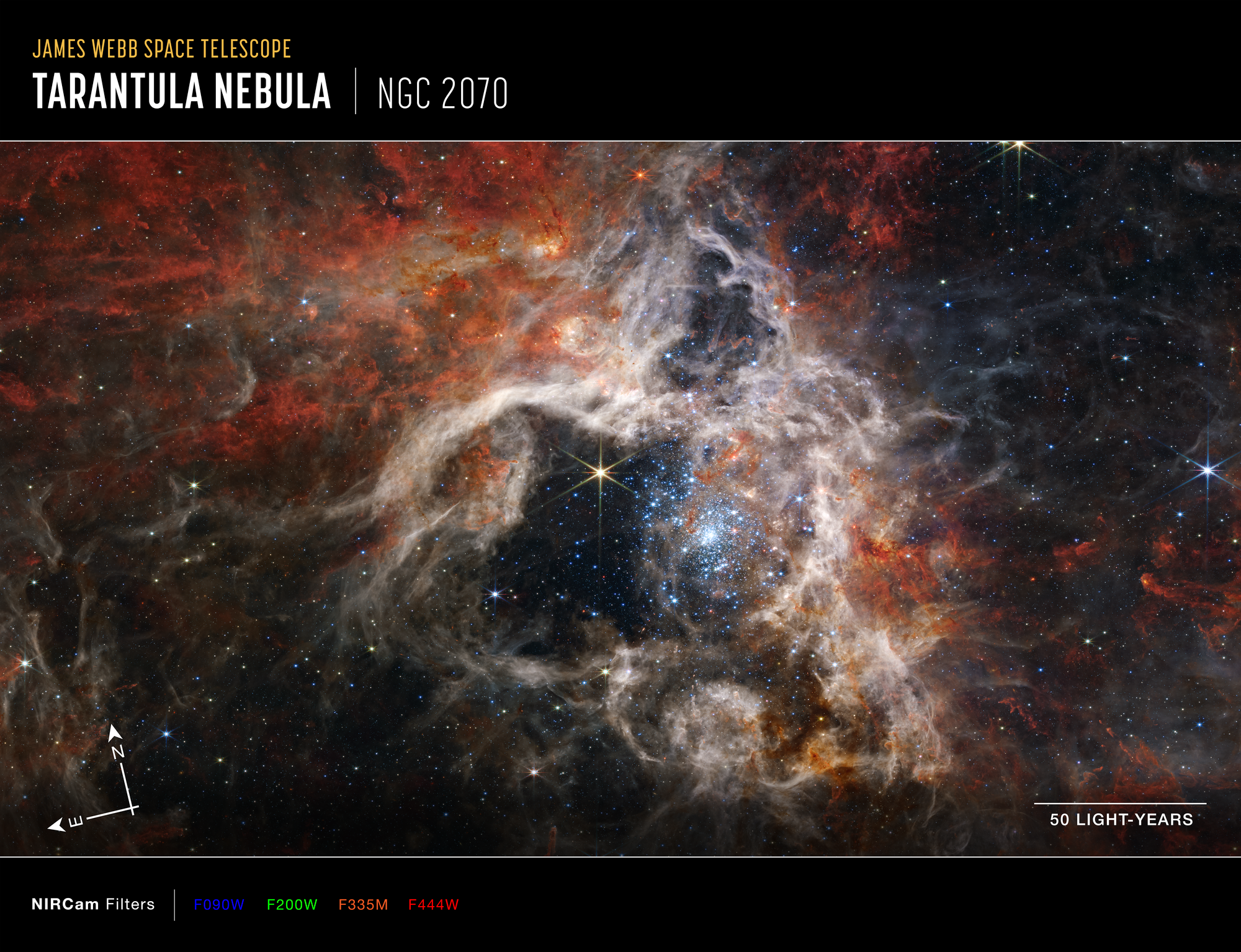 Mozaika zdjęć Mgławicy Tarantula w bliskiej podczerwieni, które zarejestrowała kamera NIRCam współpracująca z Kosmicznym Teleskopem Jamesa Webba. Tutaj kolory zostały zmapowane następująco: niebieski – filtr F090W, zielony – F200W, pomarańczowy – F335W, czerwony – F444W, a dole po prawej stronie pokazano odcinek odpowiadający 50 l.św. Z niespotykaną do tej pory rozdzielczością widać obszar powstawania młodych gwiazd, z których dziesiątki tysięcy jeszcze nie odkryto, bo były schowane w obłokach pyłu międzygwiazdowego. Najbardziej aktywny obszar to gromada młodych gwiazd masywnych, które skrzą się na niebiesko w centrum zdjęcia. Dalej od centralnego obszaru Mgławicy Tarantula gaz przyjmuje kolor rdzawy, który tutaj oznacza, że mgławica jest bogata w związki węglowodorowe. Ten gęsty gaz jest materiałem, z którego w przyszłości powstaną gwiazdy. Źródło: NASA, ESA, CSA, STScI, Webb ERO Production Team