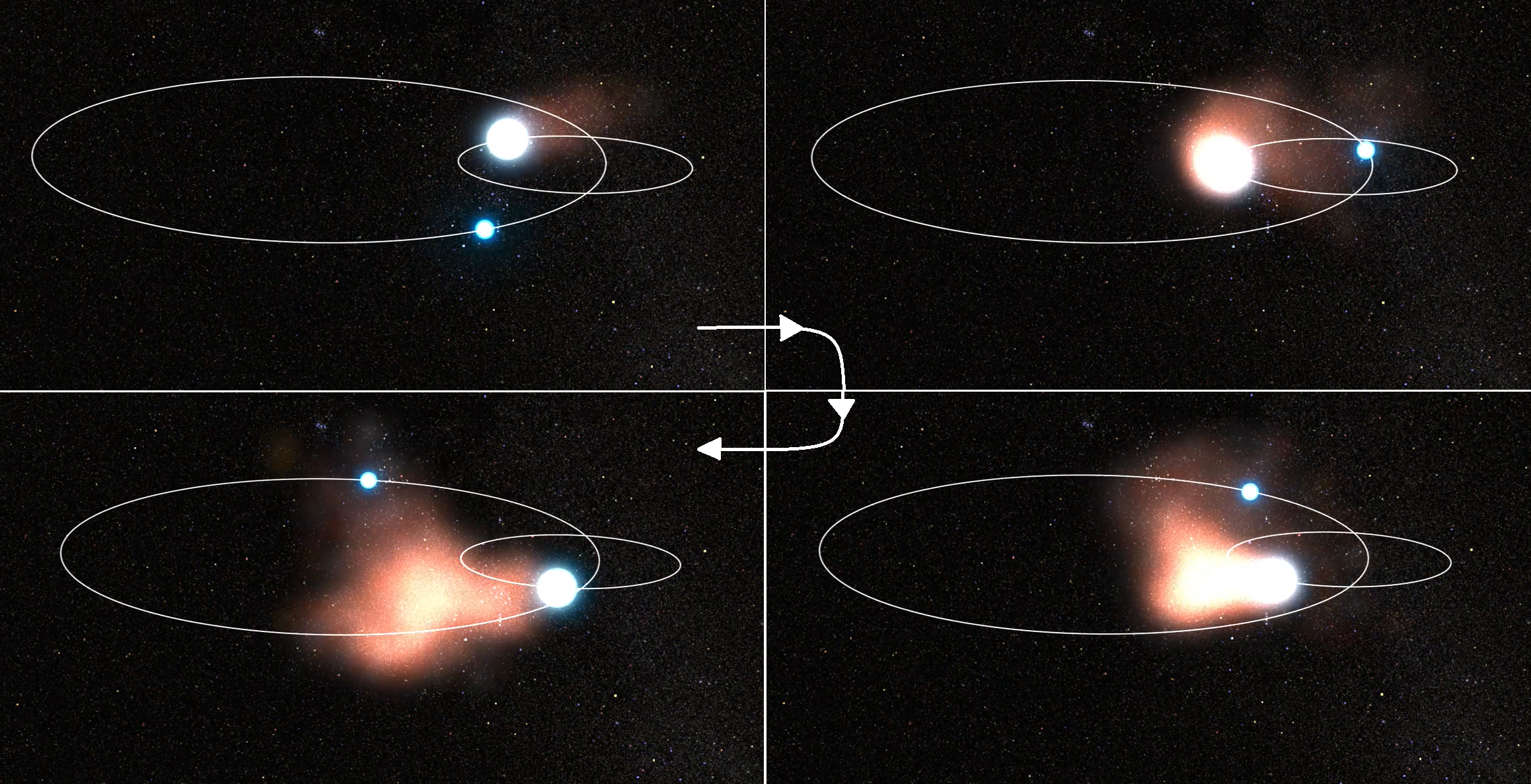 Seria widoków obrazujących powstawanie pyłu w układzie podwójnym WR 140, gdzie upływ czasu na rysunkach jest zgodny z ruchem wskazówek zegara. Jest to widok z góry na płaszczyznę orbity. W tym układzie gwiazda typu Wolfa-Rayeta (czyli gęste jądro „starzejącej się” gwiazdy masywnej) i gwiazda typu widmowego O krążą wokół wspólnego środka masy po silnie eliptycznych orbitach, a ich wiatry gwiazdowe zderzają się, gdy gwiazdy zbliżą się. Wymieszana materia jest głównie wydmuchiwana w stronę gwiazdy O i po schłodzeniu wytwarza się pył. Zgodnie z prawami mechaniki, gwiazda Wolfa-Rayeta krąży po trzykrotnie większej orbicie niż gwiazda O, ponieważ jej masa jest około trzy razy mniejsza (~10Mʘ/30Mʘ). Pełną animację ruchu orbitalnego układu WR 140 można obejrzeć tutaj. Oprac. na podstawie filmu NASA, ESA, Joseph Olmsted (STScI)