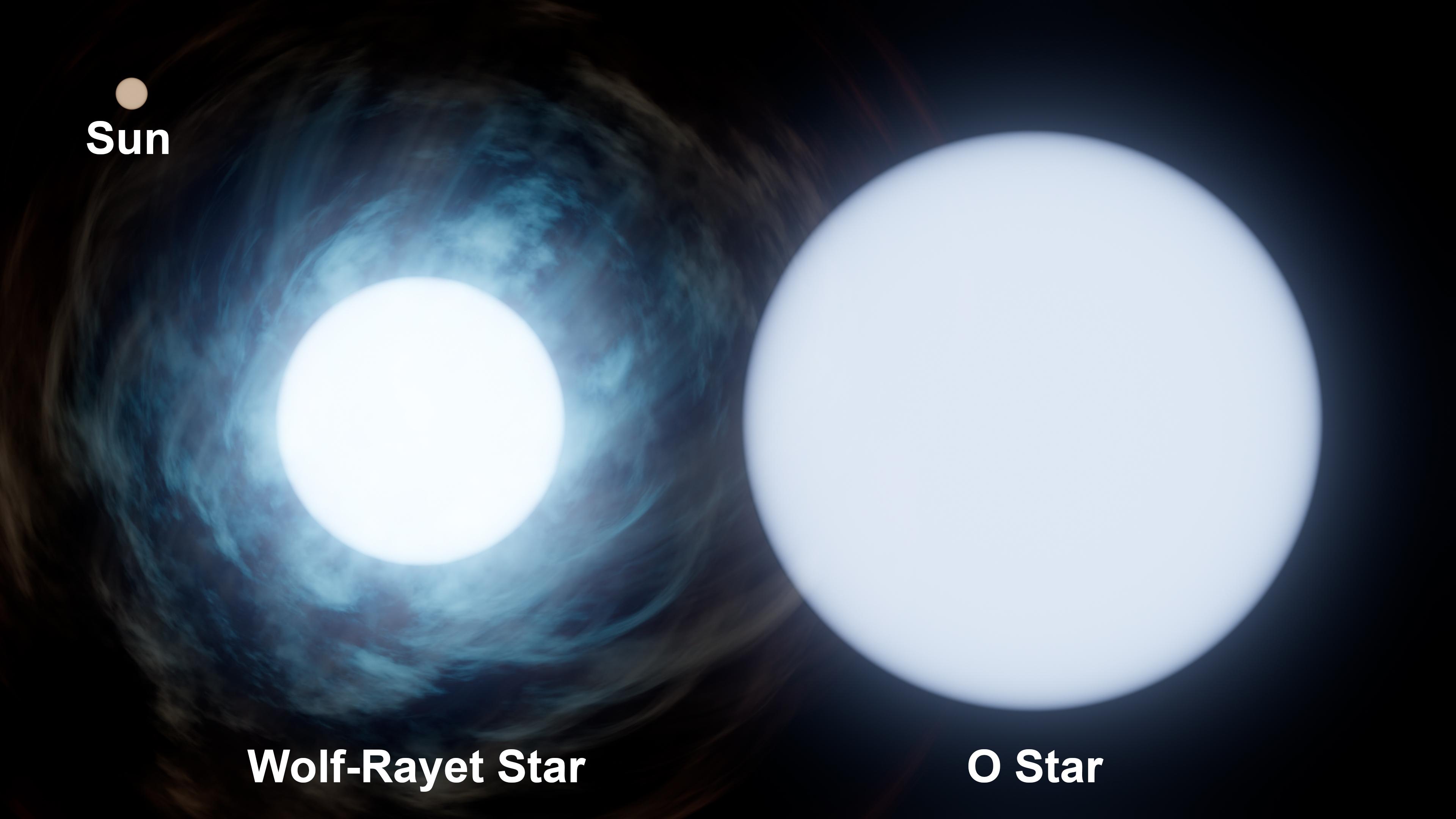 Porównanie względnej wielkości Słońca i obu masywnych gwiazd w układzie podwójnym WR 140. Gwiazda typu widmowego O posiada masę około 30 Mʘ, a jej bardziej zaawansowany ewolucyjnie towarzysz, czyli gwiazda typu Wolfa-Rayeta – około 10 Mʘ. Źródło: NASA/JPL-Caltech