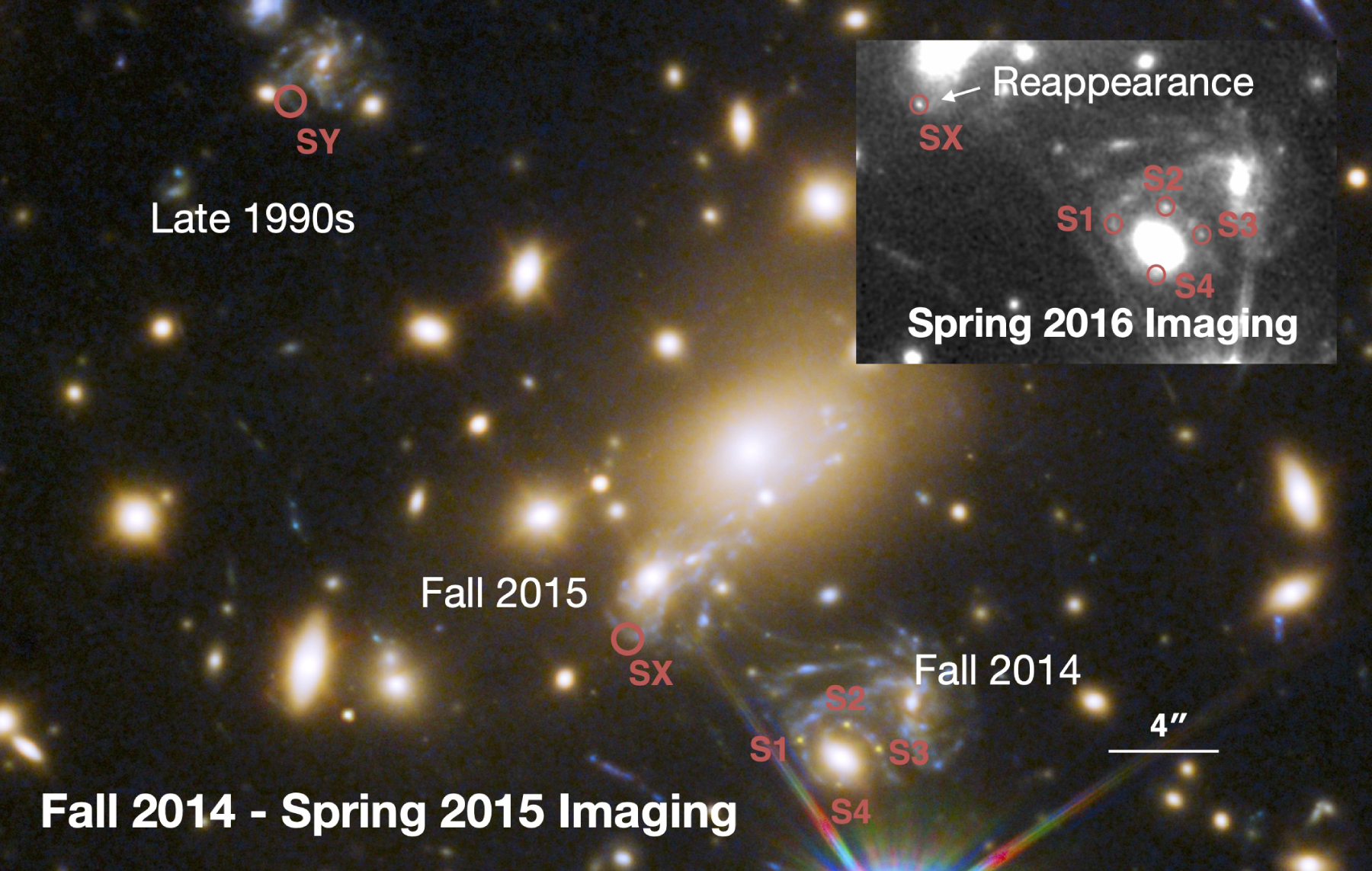 Na ilustracji: Zrobione przez Teleskop Hubble’a zdjęcie gromady galaktyk MACS J1149, na tle której pojawiła się supernowa Refsdala (zaznaczono położenie i czas pojawienia się). Zgodnie z modelem ta supernowa powinna pojawić się w późnych latach 90-tych („Late 1990s”), ale jej nie zaobserwowano. Udało się ją zaobserwować na pozycjach S1-S4 krzyża Einsteina w listopadzie 2014 roku. Po tej obserwacji astronomowie zajmujący się modelowaniem soczewek grawitacyjnych przewidzieli kolejne pojawianie się SN Refsdala, które zaobserwowano przy końcu 2015 roku (obraz SX). Źródło (CC BY 4.0): P.L.Kelly et al 2023 ApJ 948 93