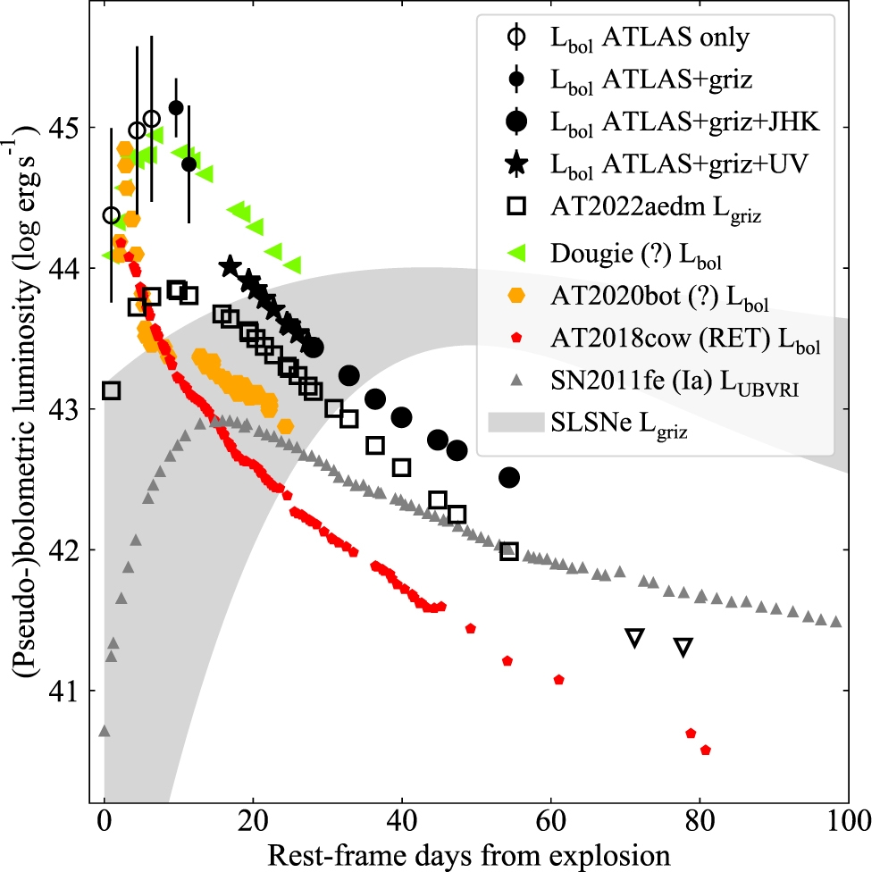 Na ilustracji: Bolometryczna krzywa blasku różnych zjawisk przejściowych w porównaniu do krzywej blasku AT2022aedm z różnymi oznaczeniami w kolorze czarnym . Jasności AT2022aedm zostały wyznaczone na podstawie obserwacji teleskopami ATLAS i Pan-STARRs (filtry: griz), danych w zakresie ultrafioletowym (UV) oraz z przeglądu VISTA Kilo-degree Galaxy Survey (filtry: JHL). Dla porównania pokazano również jasności „Ziomusia” („Dougie”), AT2020bot, AT2018cow, SN2011fe (supernowa typu Ia) oraz jasności całej populacji superjasnych supernowych (SLSNe). Na wykresie bolometryczne jasności poprzedzono przedrostkiem „pseudo”, ponieważ technicznie zostały one wyznaczone tylko z fragmentu widma elektromagnetycznego. Oprac na podstawie rys.3 M. Nicholl et al 2023 ApJL 954 L28