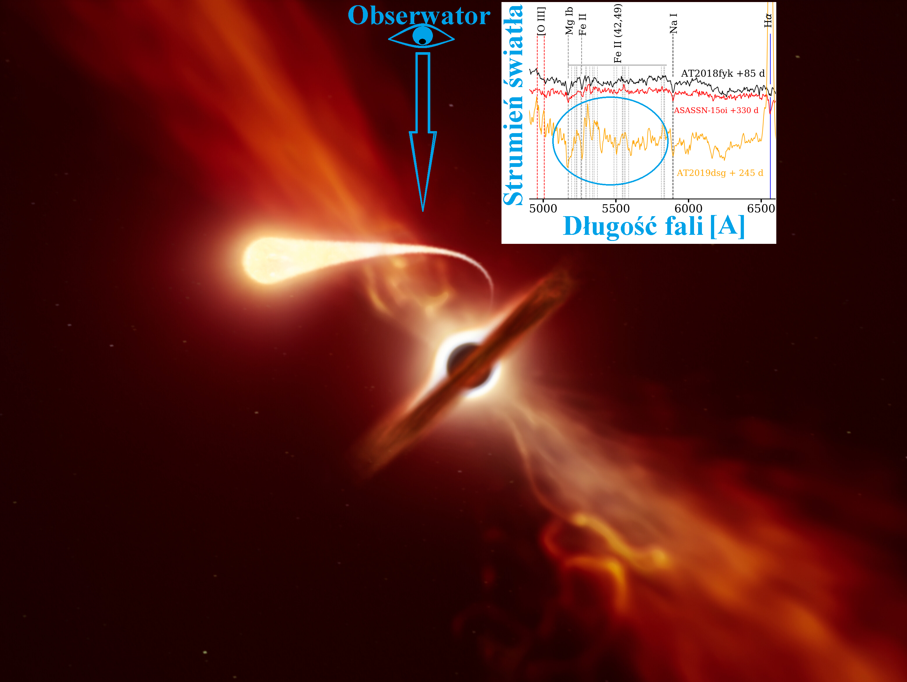 Artystyczna wizualizacja gwiazdy, która doznaje zjawiska spagetyzacji (t.j. rozciągnięta „łezka” na pierwszym planie) pod wpływem sił pływowych supermasywnej czarnej dziury, która jest widoczna w tle. Supermasywna czarna dziura jest otoczona dyskiem gazowym i pyłowym widoczne z boku. Prostopadle do płaszczyzny dysku akrecyjnego wypływają dżety z prędkościami relatywistycznymi. W dodatkowym panelu zaznaczono niebieskim owalem wąskie linie absorpcyjne żelaza w widmie zjawiska tymczasowego AT 2019dsg wykonanego 245 dnia od odkrycia. Dla porównania pokazano również ten sam fragment widma dla dwóch innych zjawisk TDE, ale tutaj nie ma takich struktur. Niebieska strzałka pokazuje prawdopodobny kierunek obserwacji z Ziemi, by dla zjawiska AT 2019dsg były widoczne linie absorpcyjne, powstające w strudze materii pozostałej po gwieździe. Opracowanie na podstawie omawianej publikacji oraz ESO/M. Kornmesser