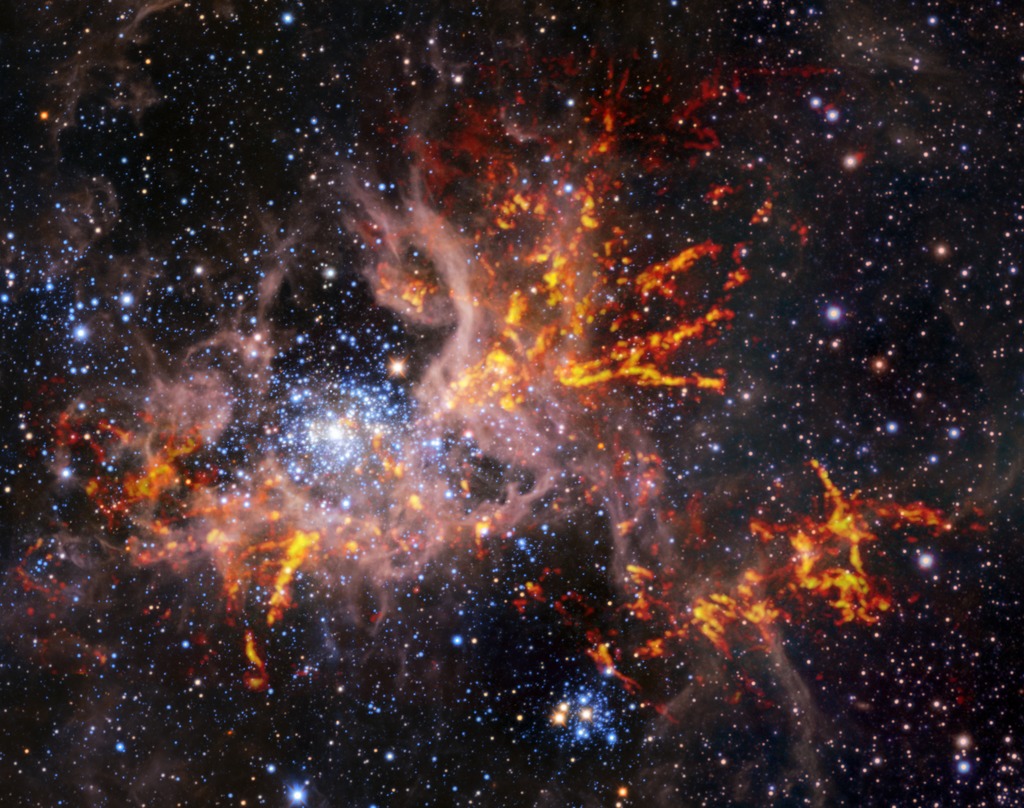 Zdjęcie gwiezdnego żłobka zwanego Mgławicą Tarantula wykonanego przez teleskopy przed epoką Kosmicznego Teleskopu Jamesa Webba: VLT (Very Large Telescope), VISTA (Visible and Infrared Survey Telescope for Astronomy) i ALMA (the Atacama Large Millimeter / submillimeter Array). Jest to mozaika zdjęć w bliskiej podczerwieni λ ~ 1,0 – 2,2 µm (teleskopy VLT + VISTA) prezentujących jasne gwiazdy i światło obłoków gorącego gazu o różowym zabarwieniu. Jasne czerwono-żółte pasma w zakresie mikrofalowym (λ ~ 1,3 -1,4 mm → teleskop ALMA) odpowiadają obszarom gęstego i zimnego gazu, które mogą się zapaść i stworzyć nowe gwiazdy. Ta unikalna, przypominająca sieć struktura obłoków gazowych sprawiła, że astronomowie przezwali ten obiekt Mgławicą Tarantula. Źródło: ESO, ALMA (ESO/NAOJ/NRAO)/Wong et al., ESO/M.-R. Cioni/VISTA Magellanic Cloud survey. Acknowledgment: Cambridge Astronomical Survey Unit