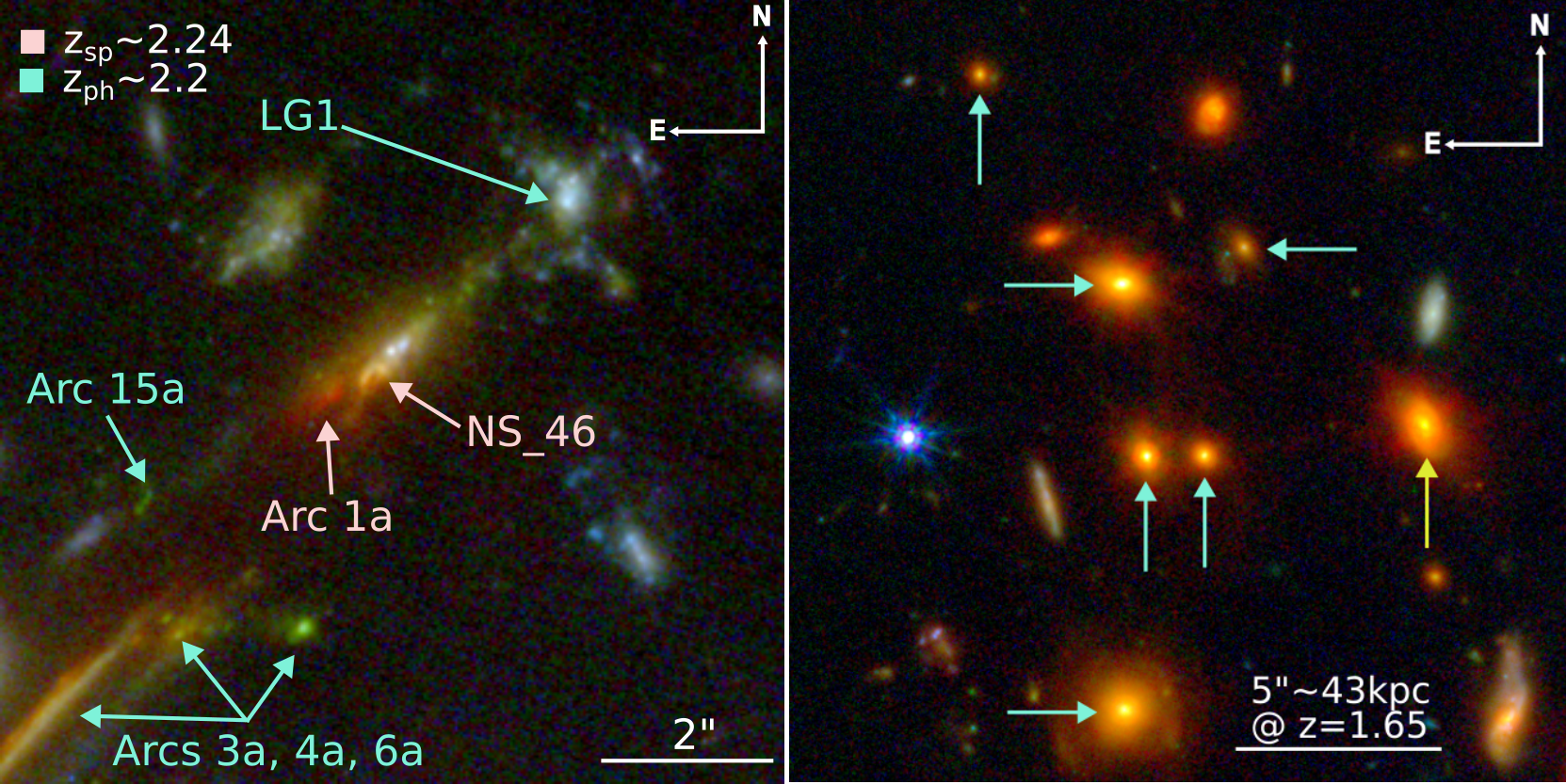 Na ilustracji (8): Dwa zdjęcia uzyskane Teleskopem Webba z kamera NIRCam prezentują dwa różne obszary przestrzeni poza łukiem „Arc 2” ze zwartymi grupami galaktykami, które są soczewkowane przez znajdująca się przed nami gromadę galaktyk G165. Na zdjęciu po lewej wskazano strzałkami zwartą grupę galaktyk otaczającą łuk „Arc 1a” o z~2,2 (odległość współporuszająca się ~18 miliardów l.św.). Na zdjęciu po prawej wskazano strzałkami grupę galaktyk liczącą 7 obiektów o przesunięciu ku czerwieni z = 1,65 wyznaczonym fotometrycznie – co odpowiada odległości współporuszającej się ~15 miliardów l.św. Źródło (CC BY 4.0): arXiv:2309.07326 [astro-ph.GA]