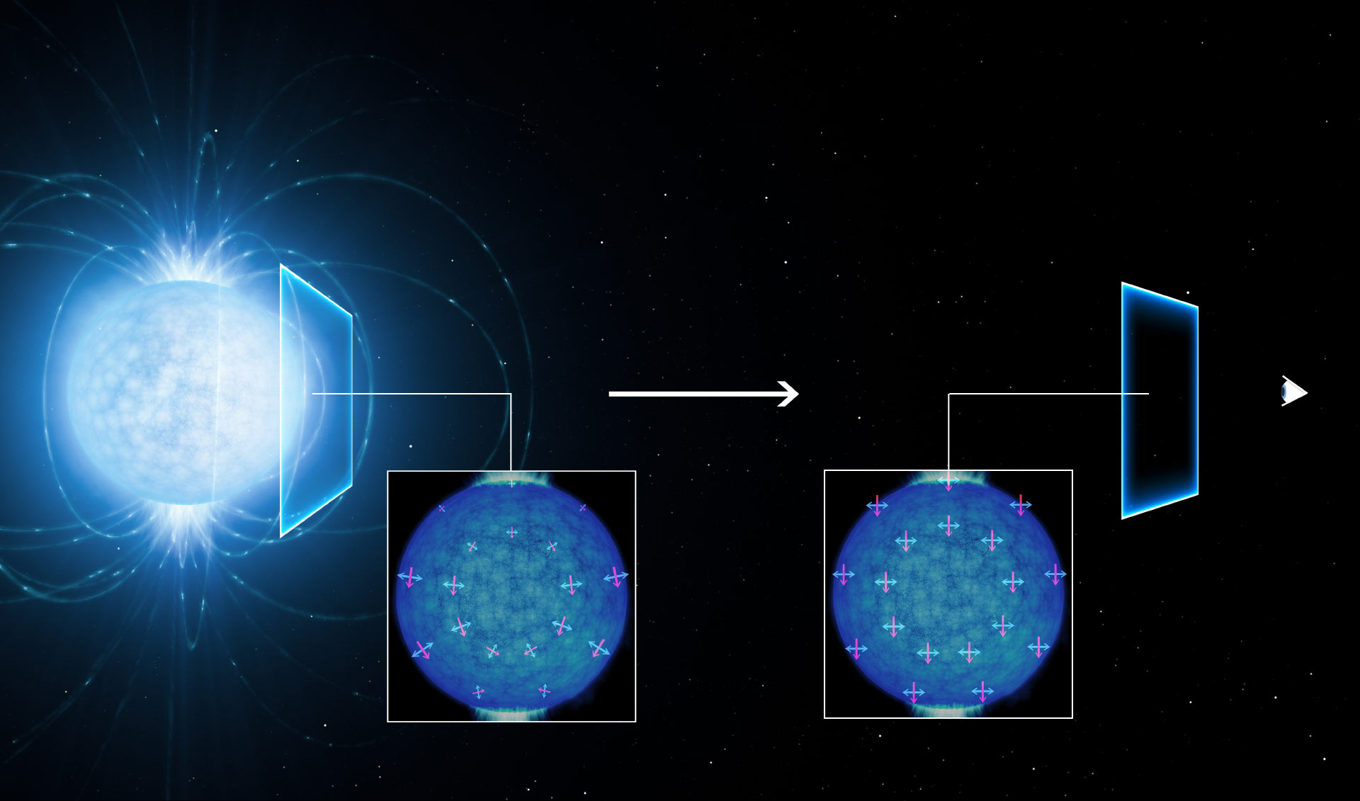 Niezwykłe właściwości ekstremalnych pól magnetycznych. Wizja artystyczna zjawiska dwójłomności próżni, które zostało zaobserwowane najprawdopodobniej w promieniowaniu elektromagnetycznym gwiazdy neutronowej RX J1856.5-3754 (patrz również materiał na portalu Urania). Światło emitowane przez gwiazdę neutronową (po lewej) staje się liniowo spolaryzowane, gdy podróżuje w próżni niedaleko gwiazdy neutronowej w swej drodze do obserwatora na Ziemi (po prawej). Kierunki pól magnetycznych i elektrycznych dla promieniowania elektromagnetycznego zostały pokazane odpowiednio linią czerwoną i niebieską. Źródło: L. Calçada / ESO