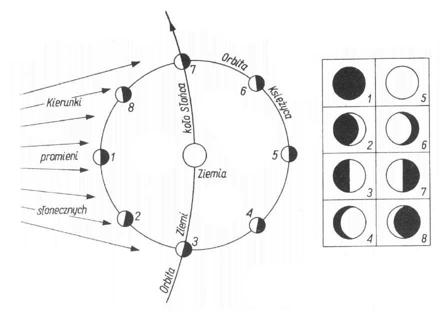 Fazy Księżyca. Źródło: Konrad Rudnicki, Astronomia dla kl. IV liceum ogólnokształcącego, technikum i liceum zawodowego, wyd. XV, WSiP, 1988.
