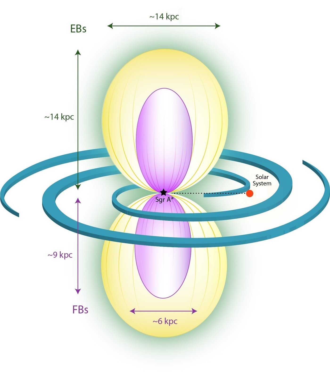 Schematyczny widok bąbli eROSITA (kolor żółty) i Fermiego (fioletowy). Dysk galaktyczny jest oznaczony ramionami spiralnymi.